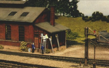 Schuppenrückseite
